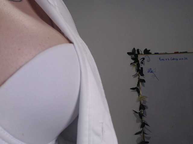 Εκπομπές οθόνης AdaIson