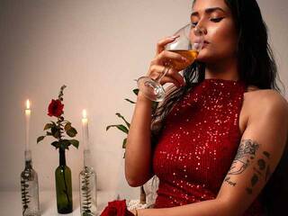 Ερωτική συνομιλία μέσω βίντεο akiralovee