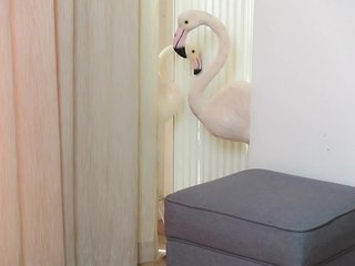 Ερωτική συνομιλία μέσω βίντεο AmeliaJune