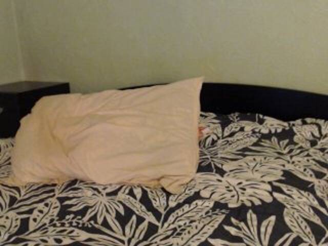 Εκπομπές οθόνης Alissia_Kiss