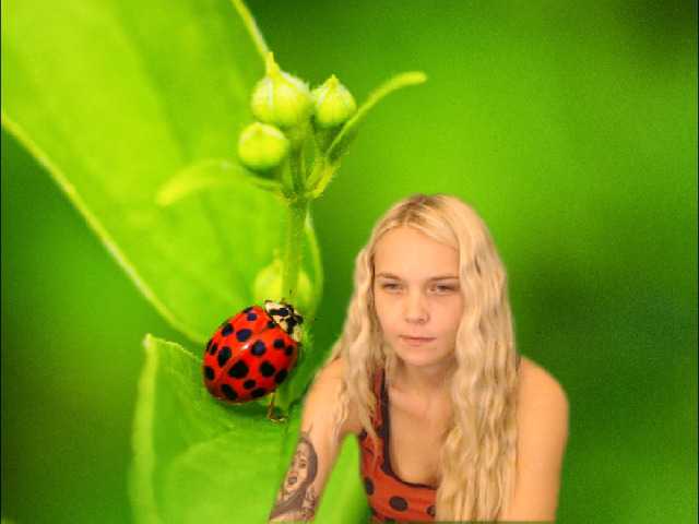 Φωτογραφίες AnnaHappy18 ...the story of the lonely ladybug.