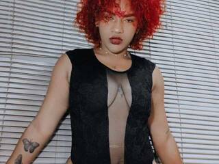 Ερωτική συνομιλία μέσω βίντεο AshaaPalmer