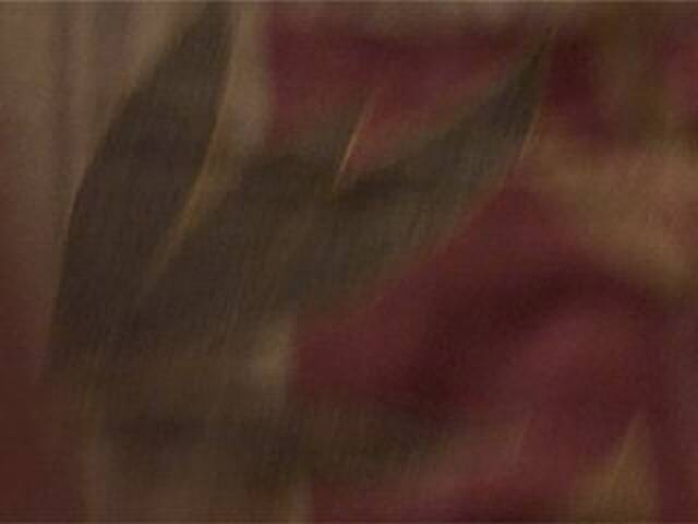 Εκπομπές οθόνης AshaPM