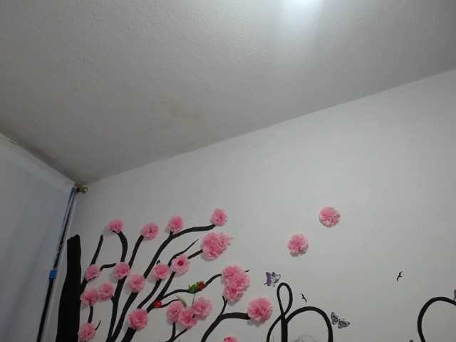 Εκπομπές οθόνης RUBY-