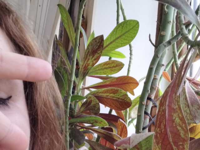 Φωτογραφία του προφίλ Crazycouple8