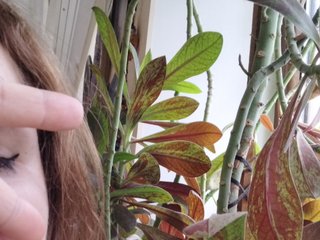 Ερωτική συνομιλία μέσω βίντεο Crazycouple8