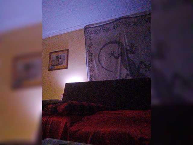 Εκπομπές οθόνης Doggysx