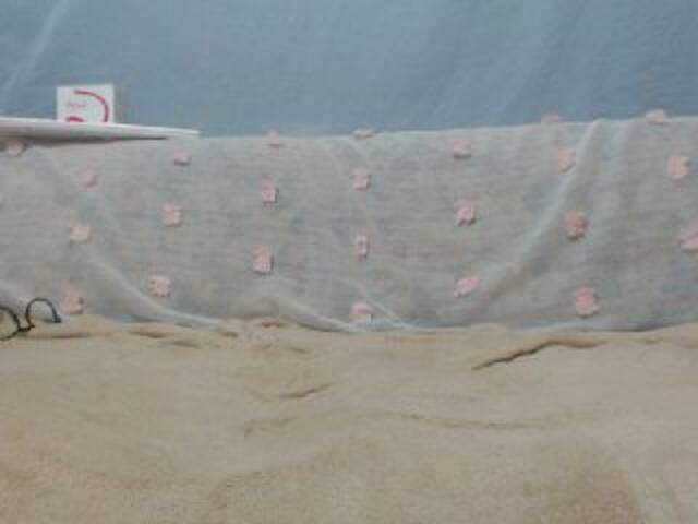 Εκπομπές οθόνης DonnaWildJoyy