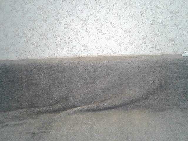 Εκπομπές οθόνης ElegantBlonda