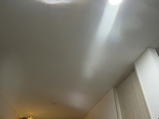 Ερωτική συνομιλία μέσω βίντεο EvanShell1