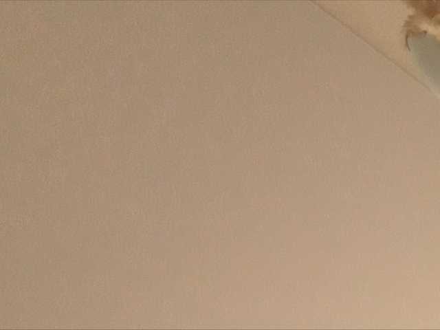 Εκπομπές οθόνης fibi8590