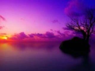 Ερωτική συνομιλία μέσω βίντεο florabella