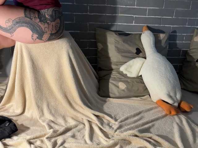 Εκπομπές οθόνης Fox-Paws