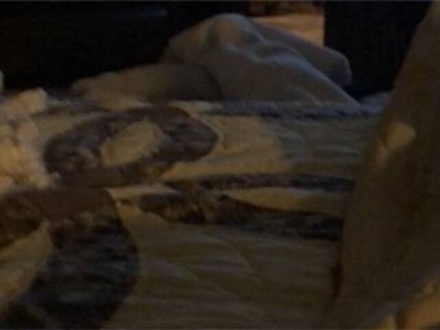 Εκπομπές οθόνης Littleshorty