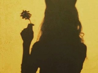 Φωτογραφία του προφίλ Fiery_Phoenix
