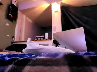 Ερωτική συνομιλία μέσω βίντεο Lkangelach