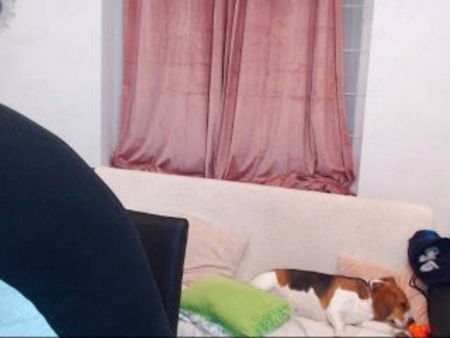 Εκπομπές οθόνης MaxGACouple