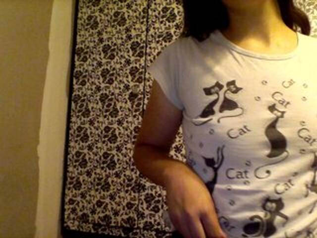 Εκπομπές οθόνης Meru1996