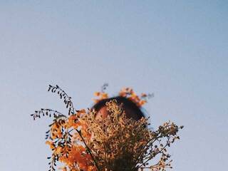 Ερωτική συνομιλία μέσω βίντεο Miniiskis