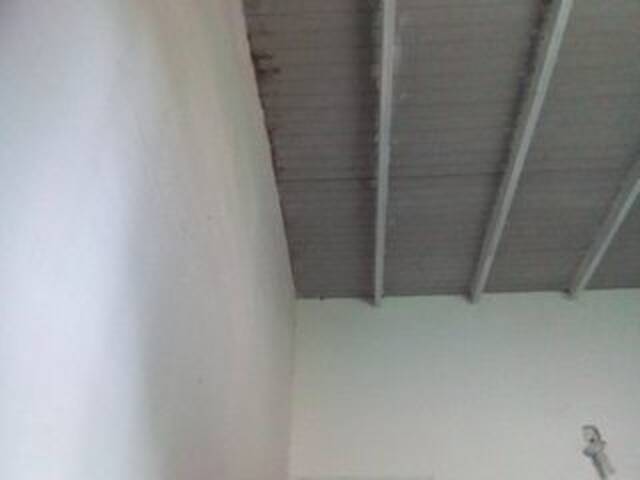 Εκπομπές οθόνης misscute