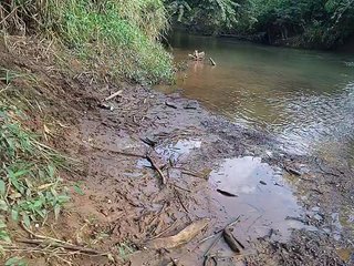 Ερωτική συνομιλία μέσω βίντεο Nami-C