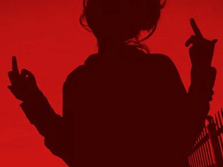 Ερωτική συνομιλία μέσω βίντεο RedFox69