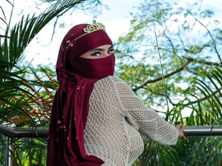 Ερωτική συνομιλία μέσω βίντεο Saandy