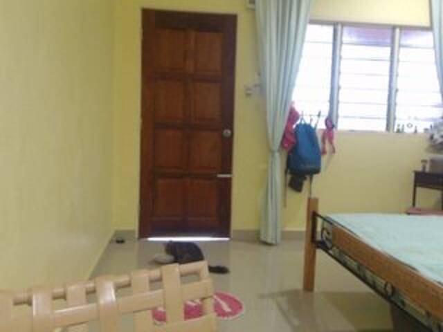 Εκπομπές οθόνης SexiBelle