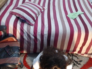 Ερωτική συνομιλία μέσω βίντεο Sexyjustin202