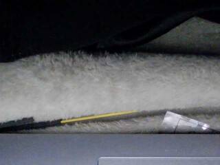 Ερωτική συνομιλία μέσω βίντεο sexysapphiresweet