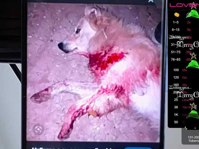 Εκπομπές οθόνης sofiaclaus