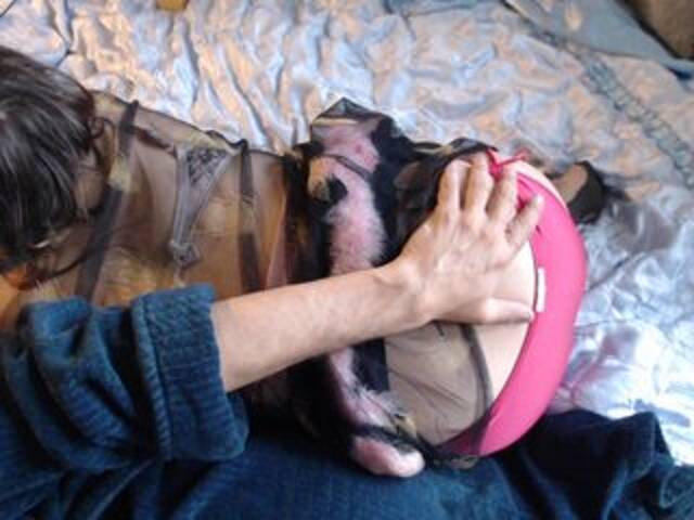 Εκπομπές οθόνης Masha_Ivanova