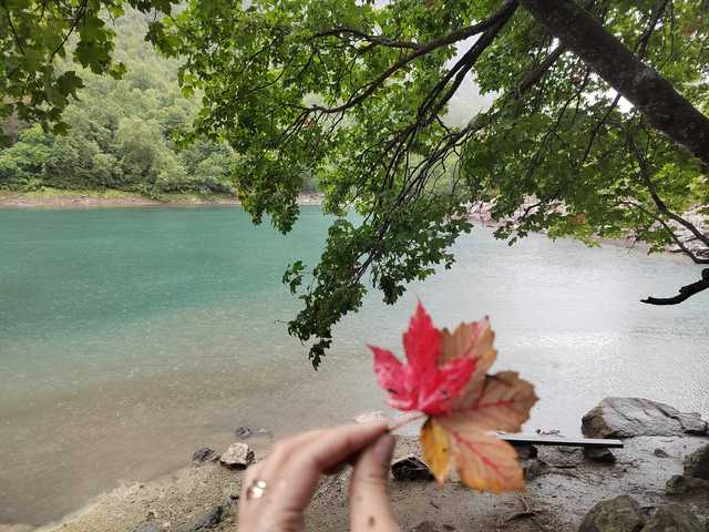 Φωτογραφία του προφίλ _GoodGirl_