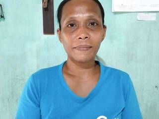 Ερωτική συνομιλία μέσω βίντεο Wild-Dina