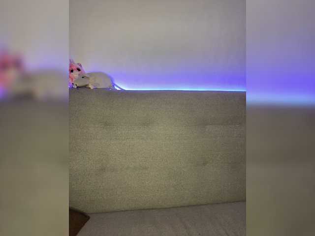 Εκπομπές οθόνης Wulka