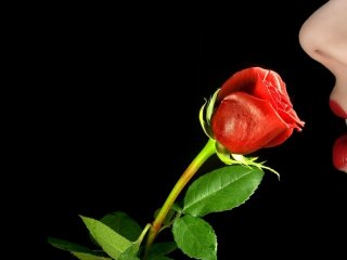 Φωτογραφία του προφίλ xxsweetlady