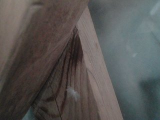 Ερωτική συνομιλία μέσω βίντεο YasminaGeil