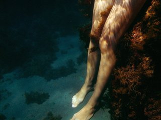 Ερωτική συνομιλία μέσω βίντεο Zara2000