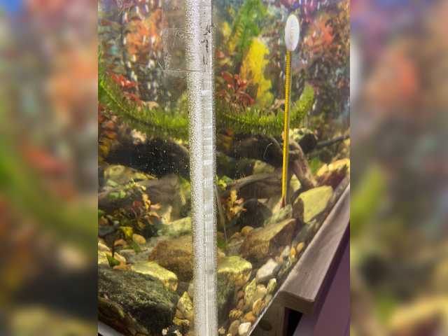 Εκπομπές οθόνης Zhozhoba69